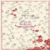 양희은 Memories